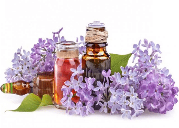 A infusão de lilases